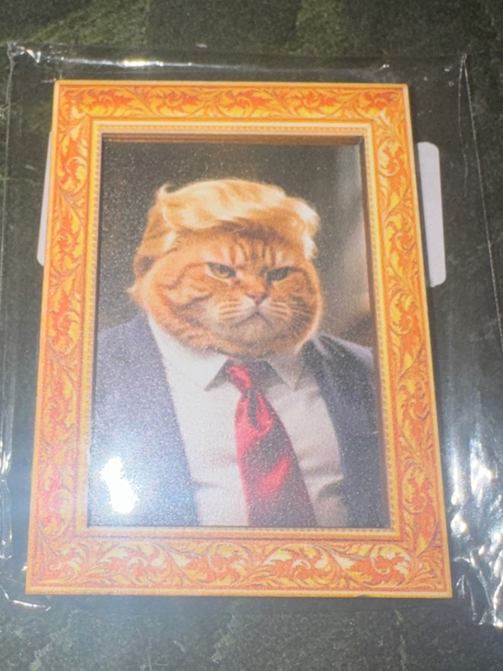 Novelty Cat Portrait Magnet - Orange Framed Ginger Cat in Suit